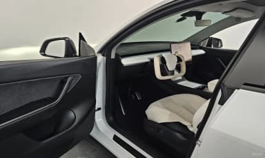 Model Y