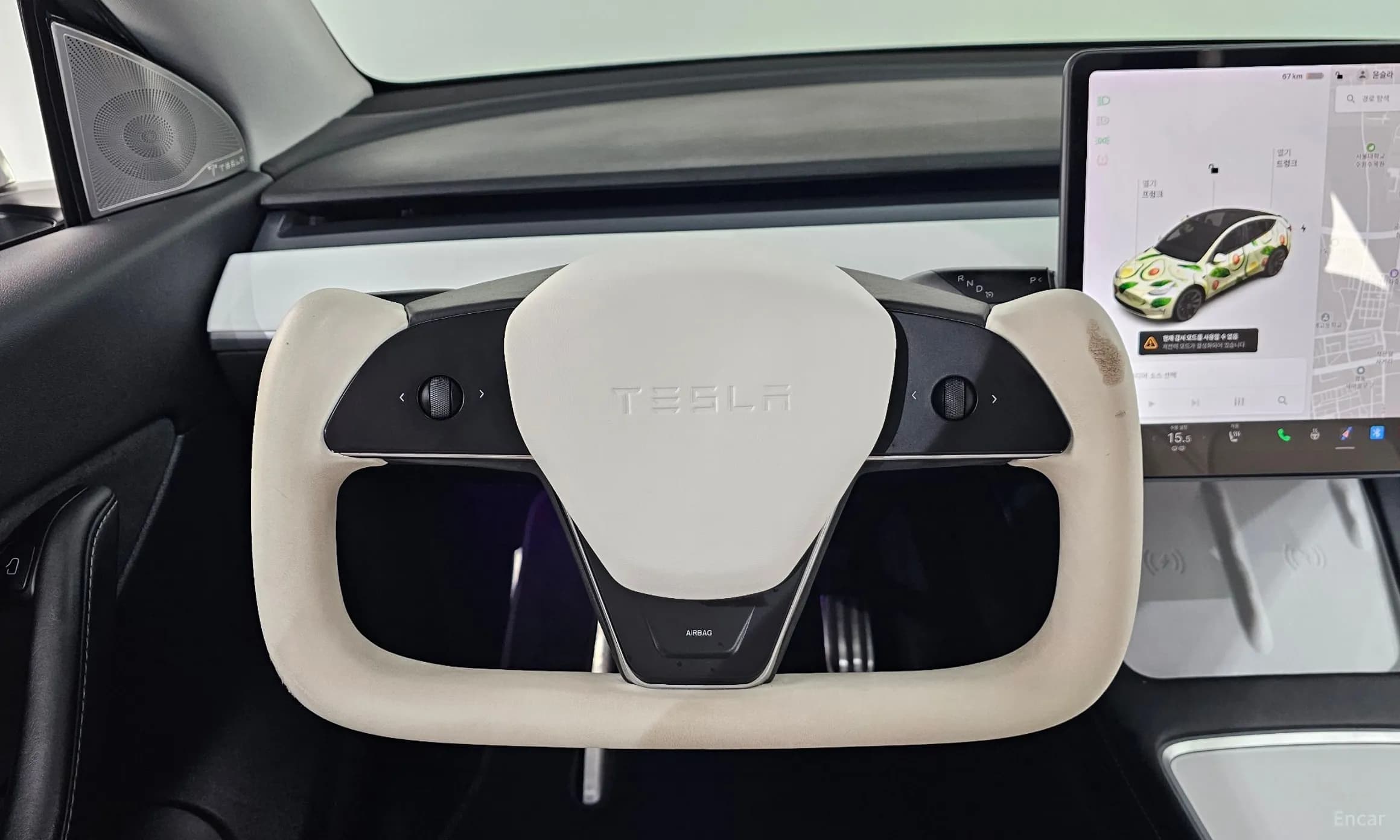 Model Y