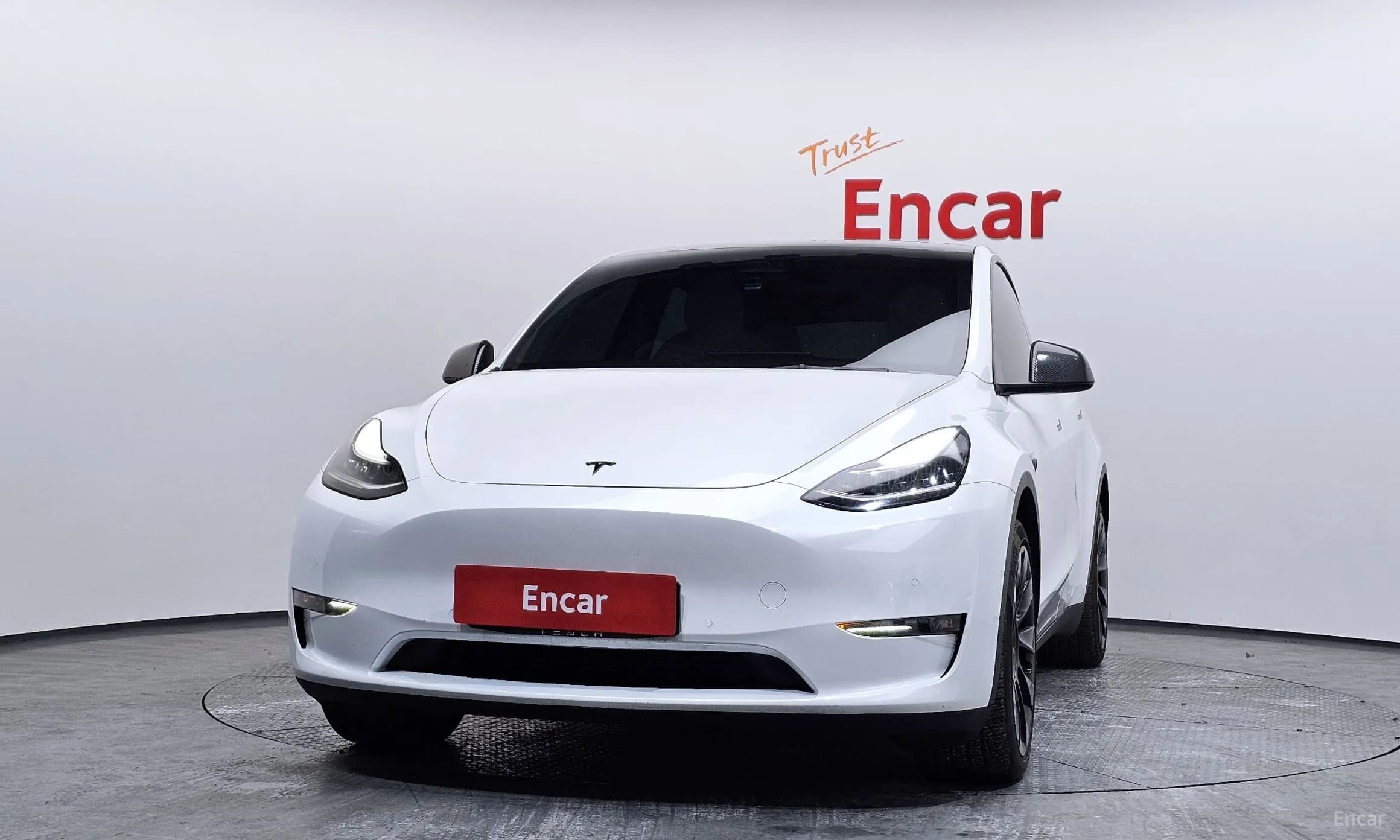 Model Y