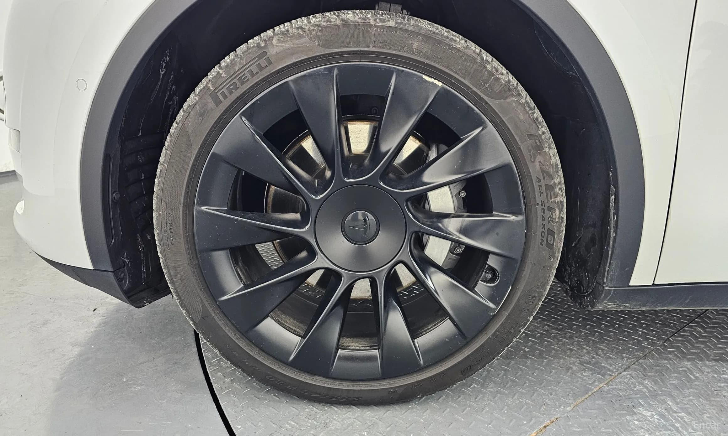 Model Y