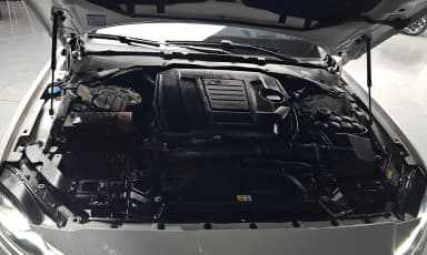 XF (x260)
