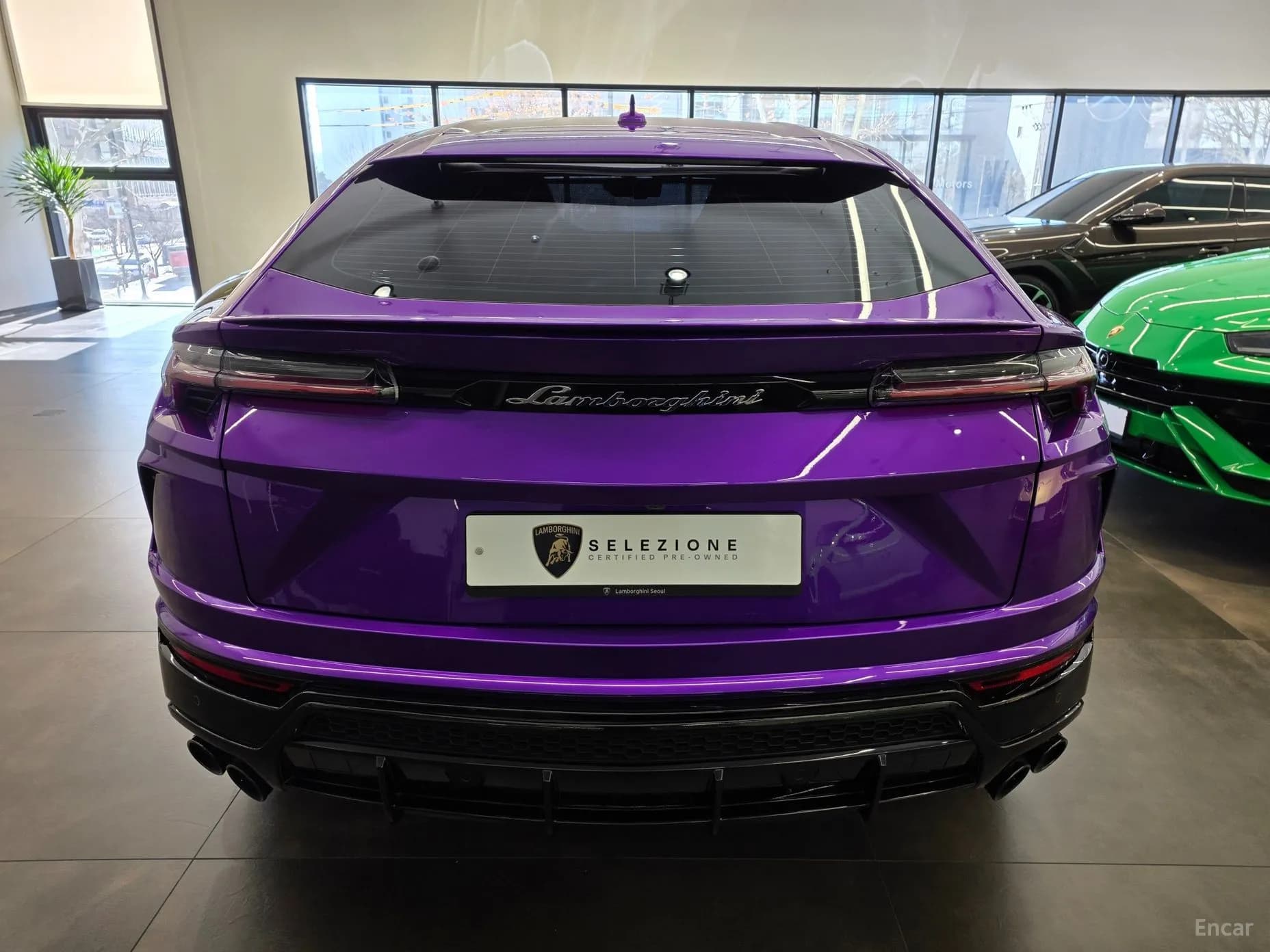 Urus