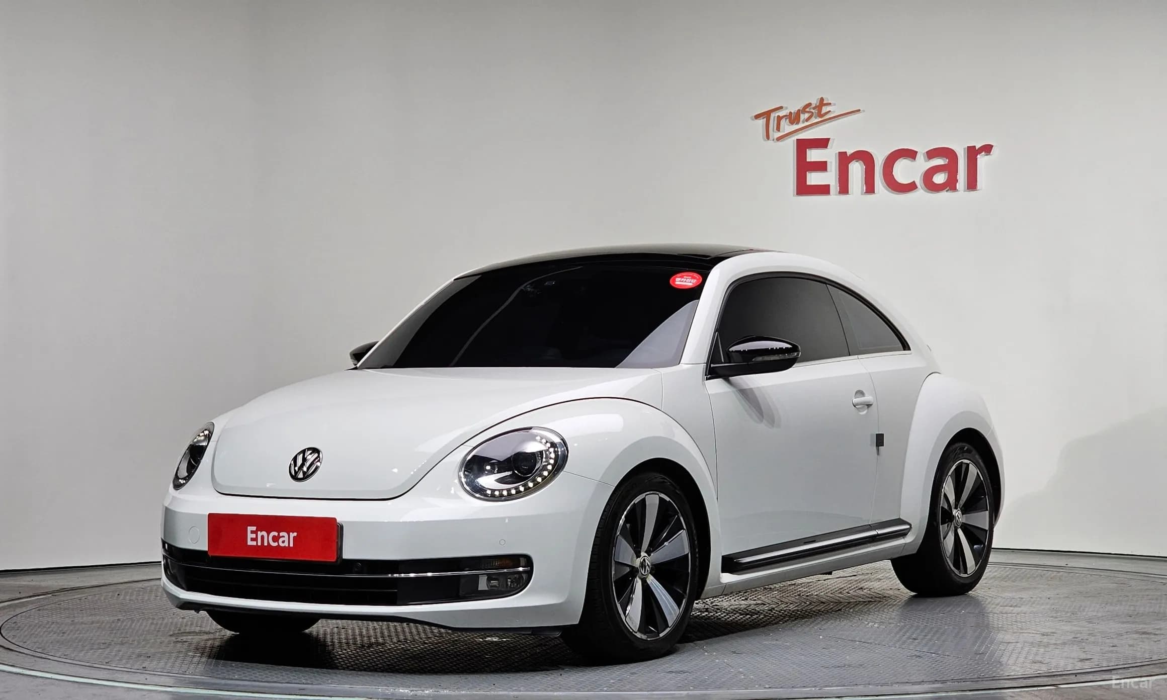 The Beetle