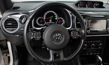 The Beetle