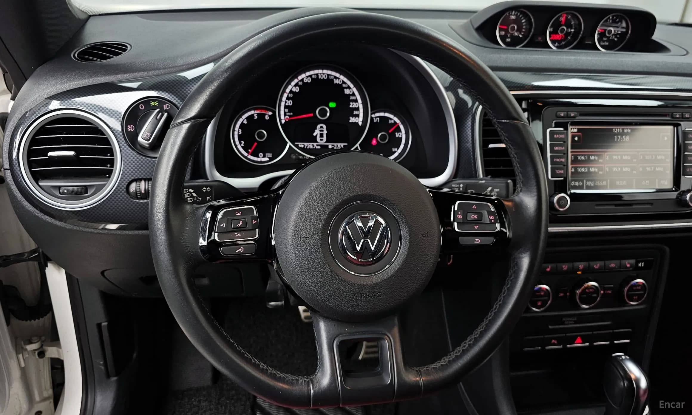The Beetle