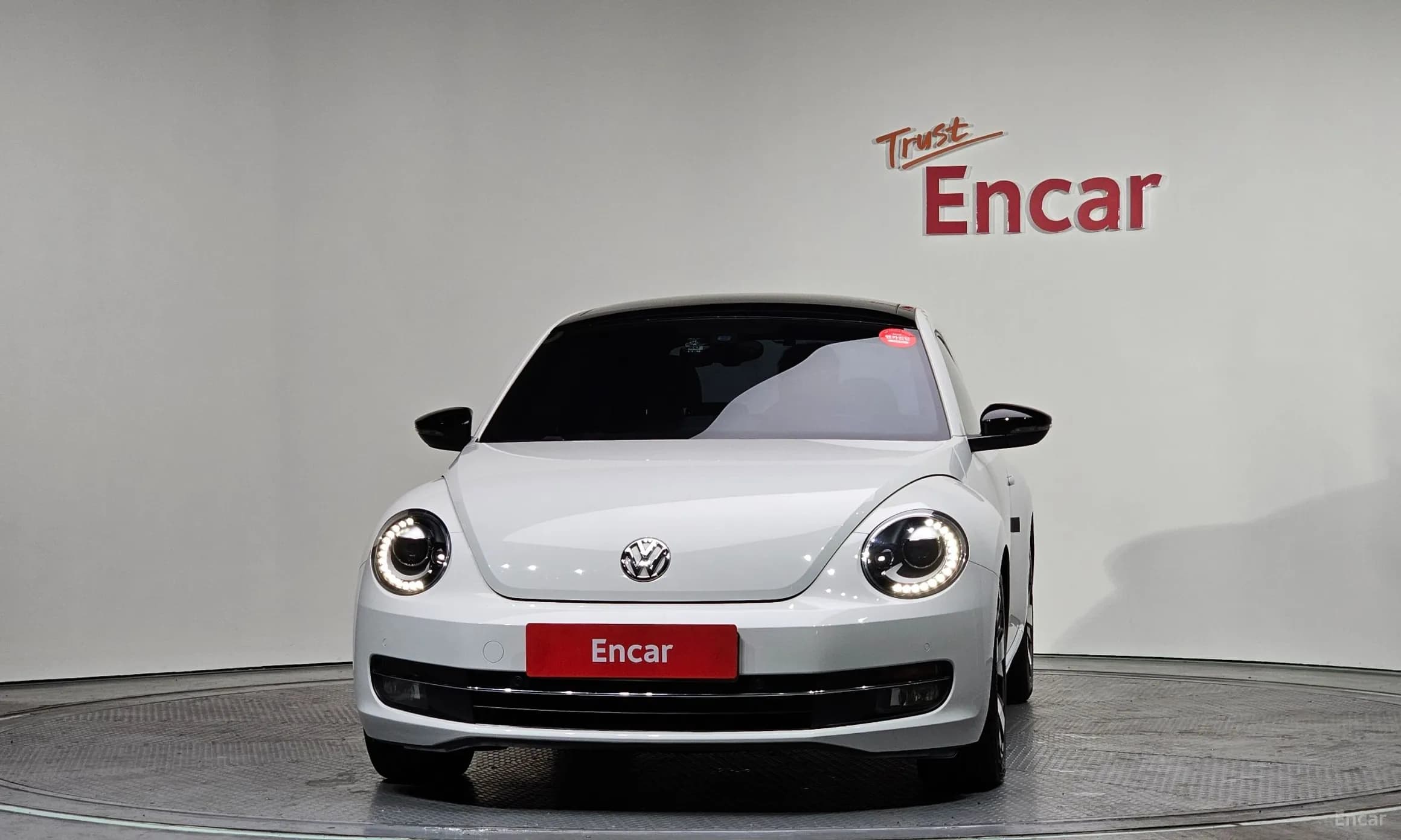 The Beetle