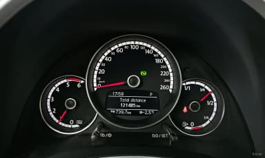 The Beetle