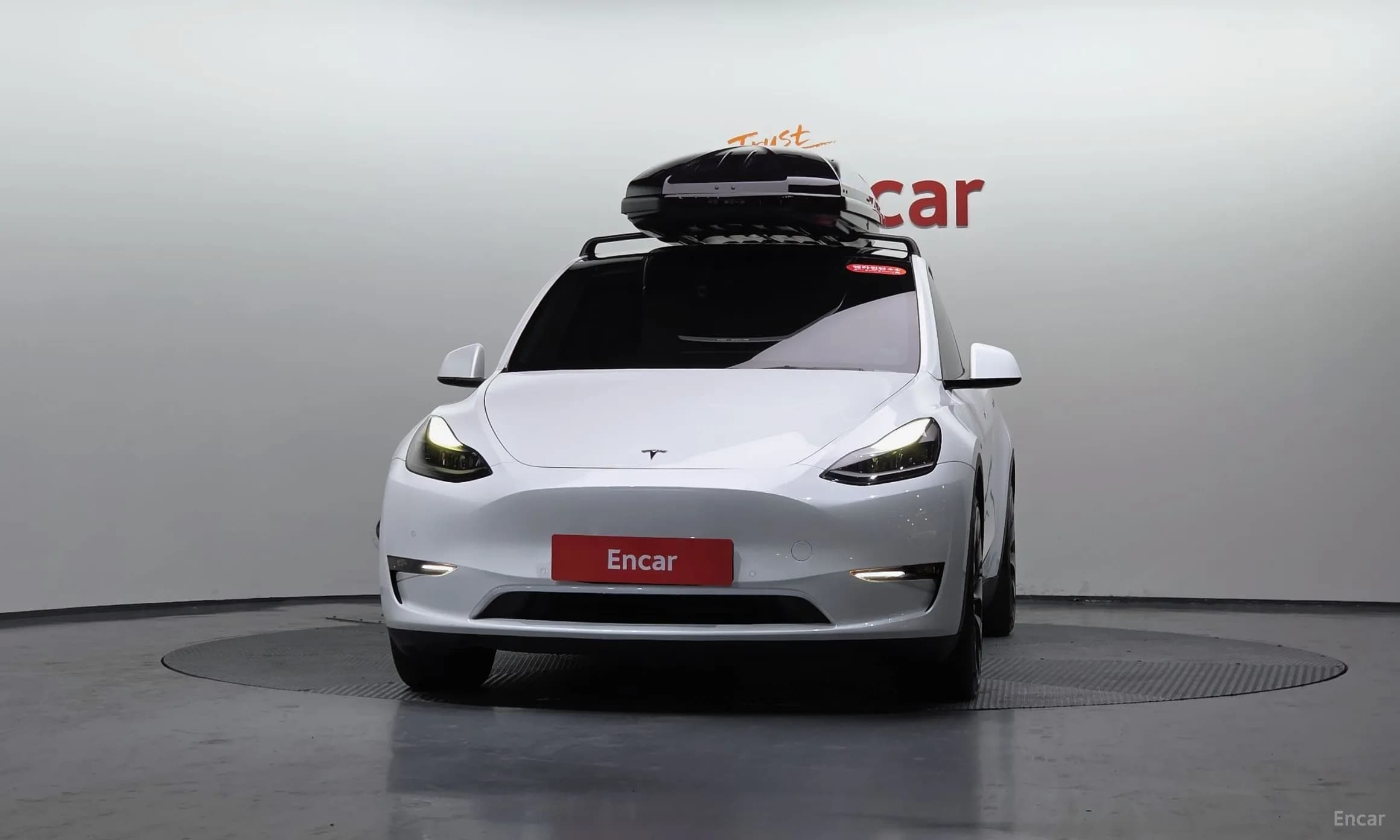 Model Y
