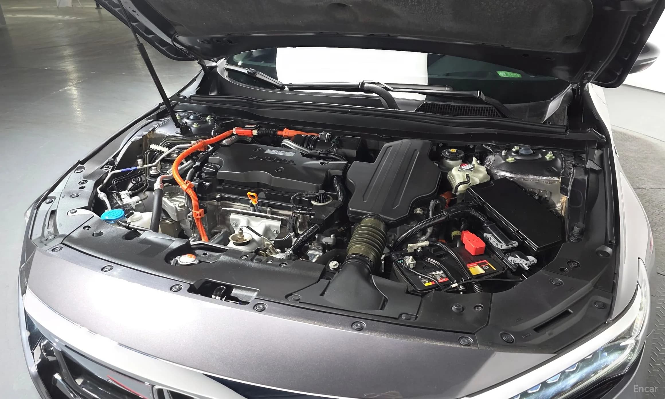 Accord 10th Generation