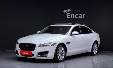XF (x260)