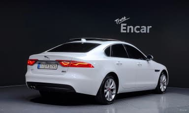 XF (x260)