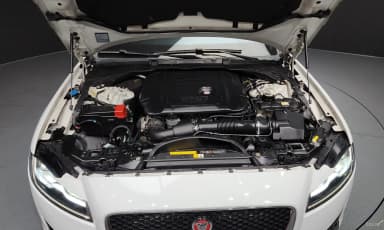 XF (x260)
