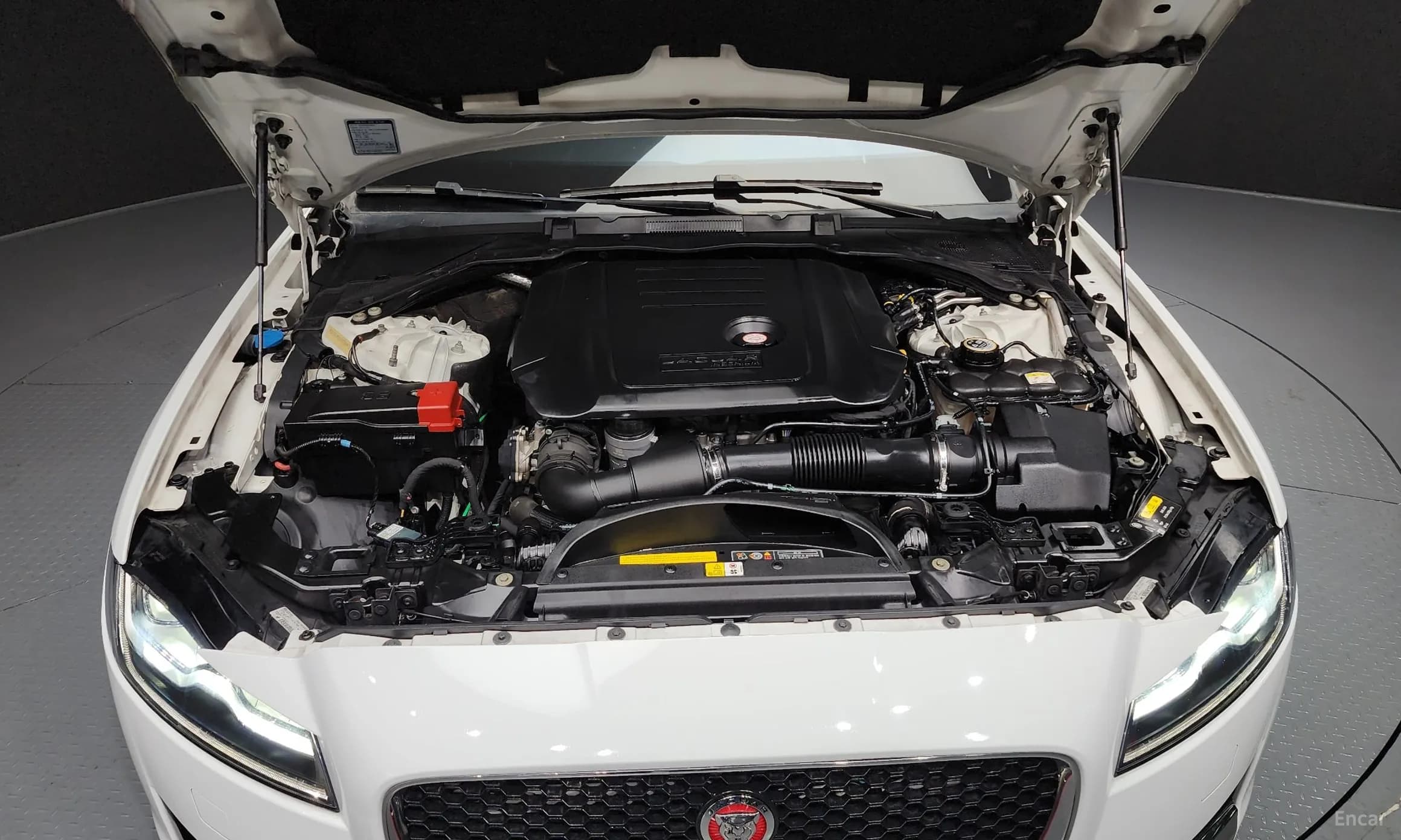 XF (x260)