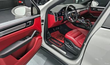 Cayenne (PO536)