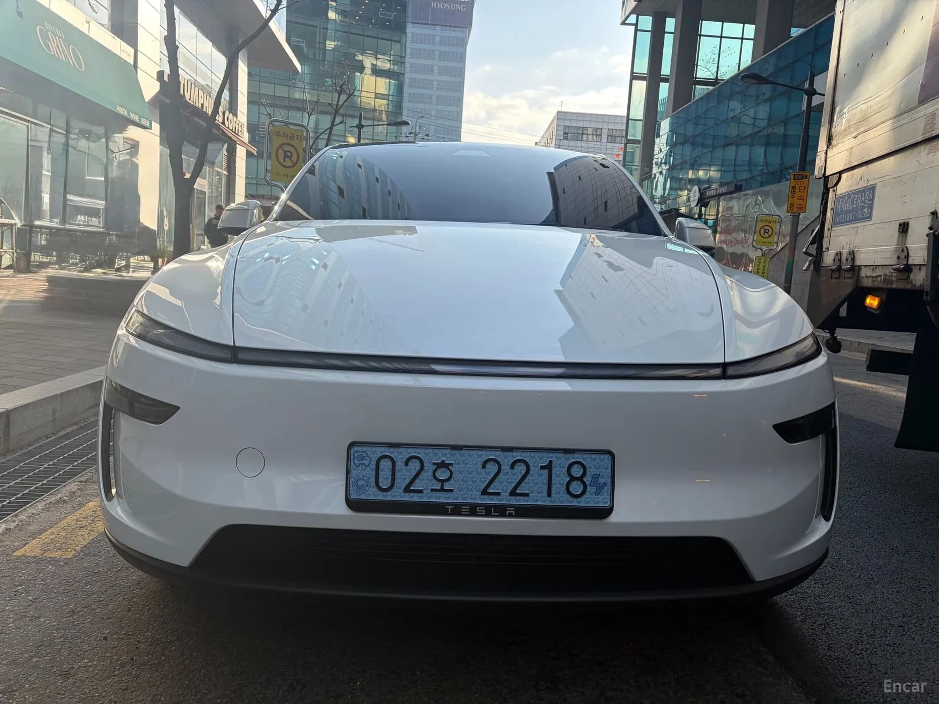 Model Y