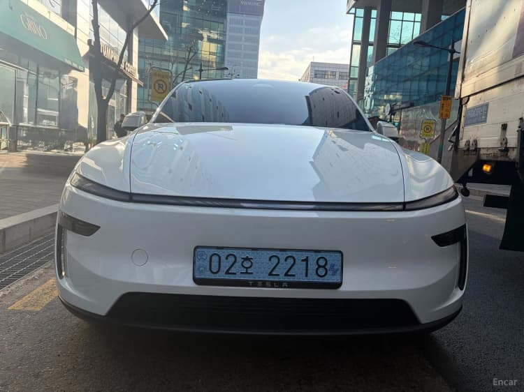 Model Y