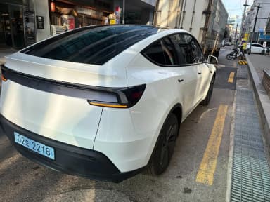 Model Y
