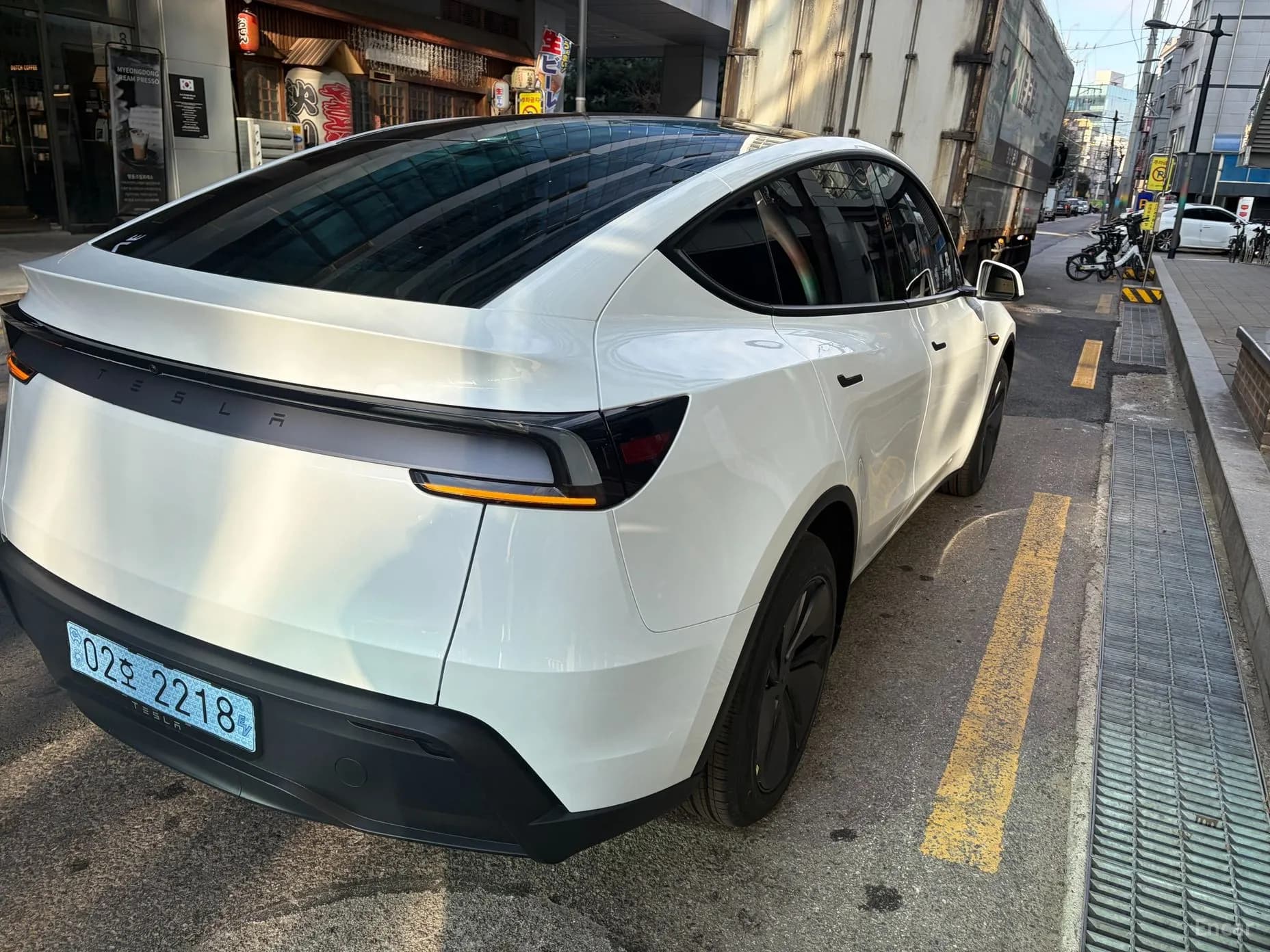 Model Y