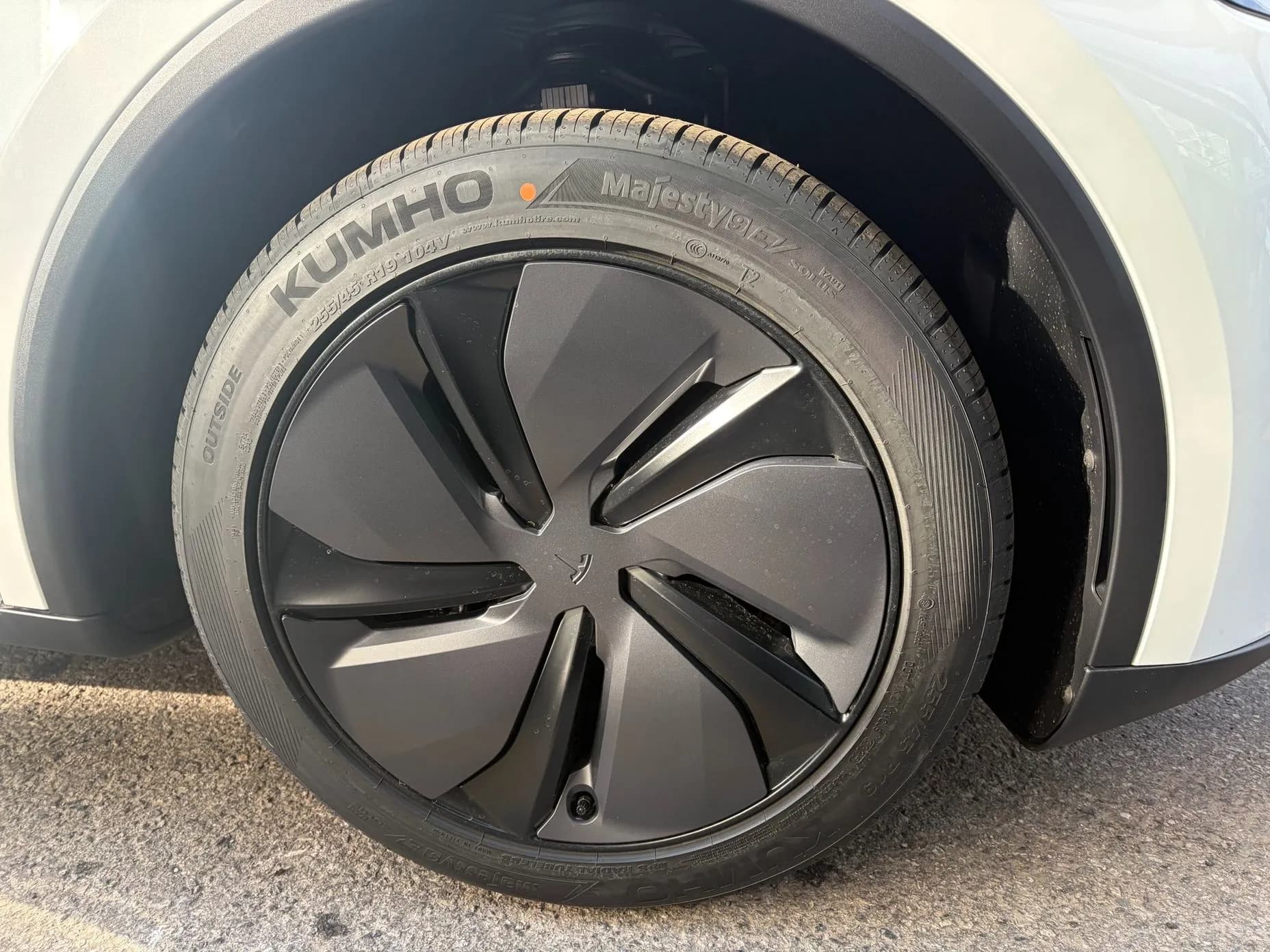 Model Y