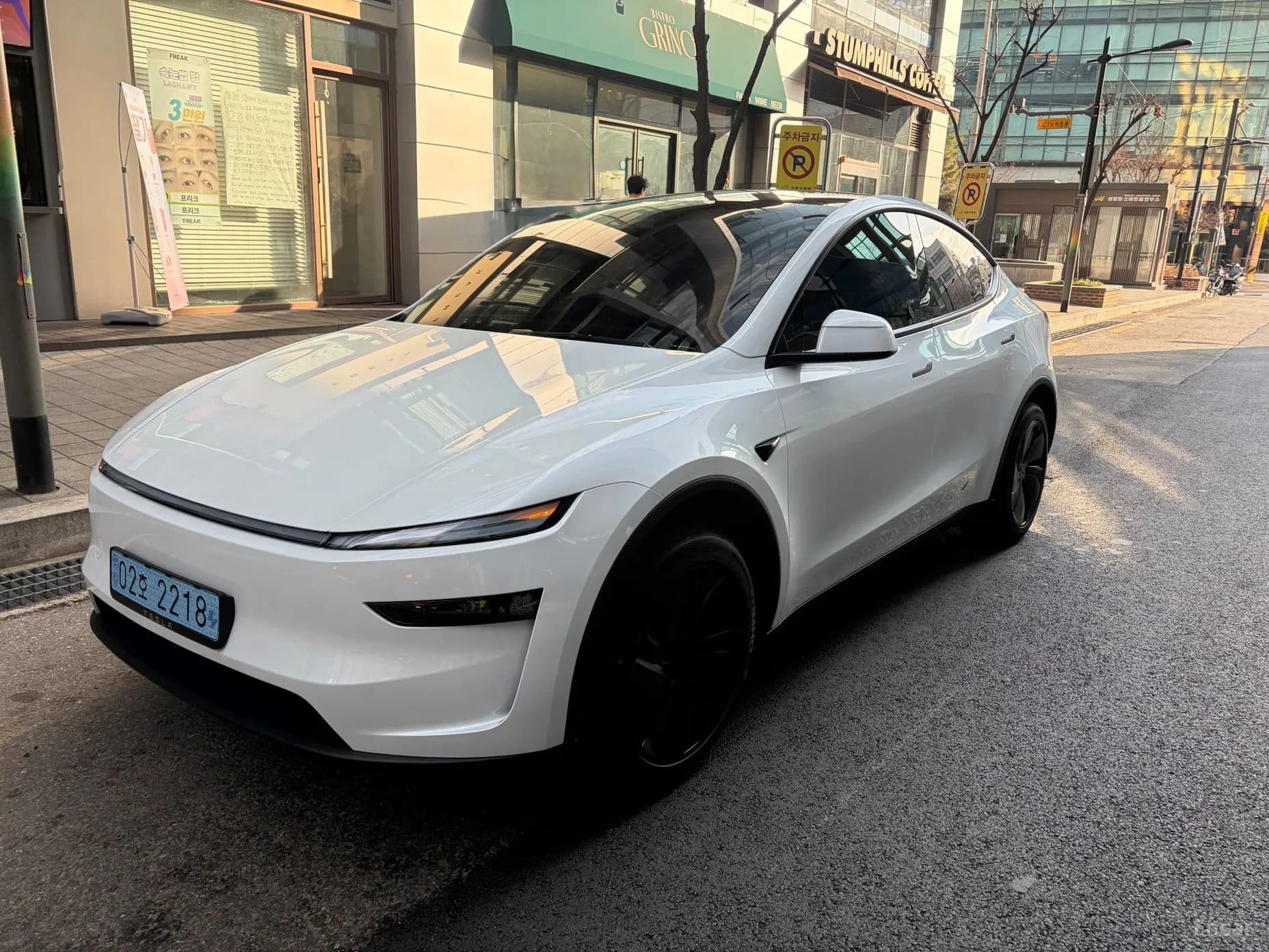 Model Y