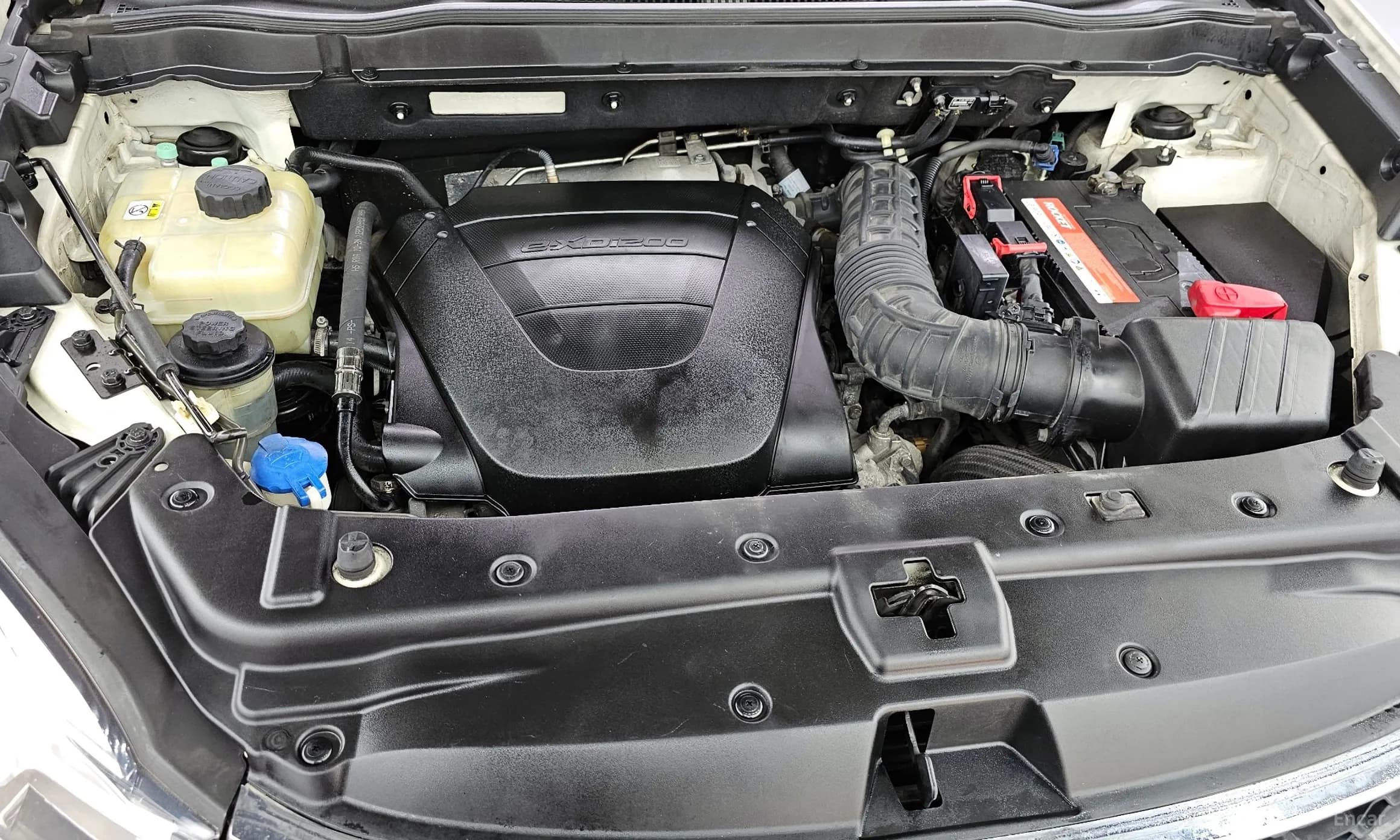 Korando C