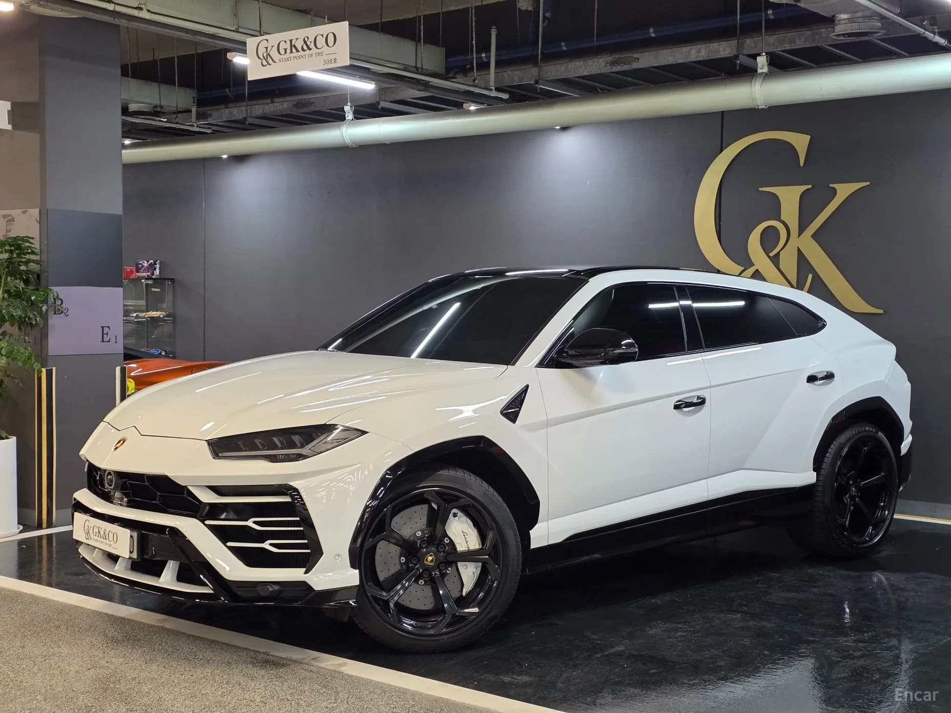 Urus