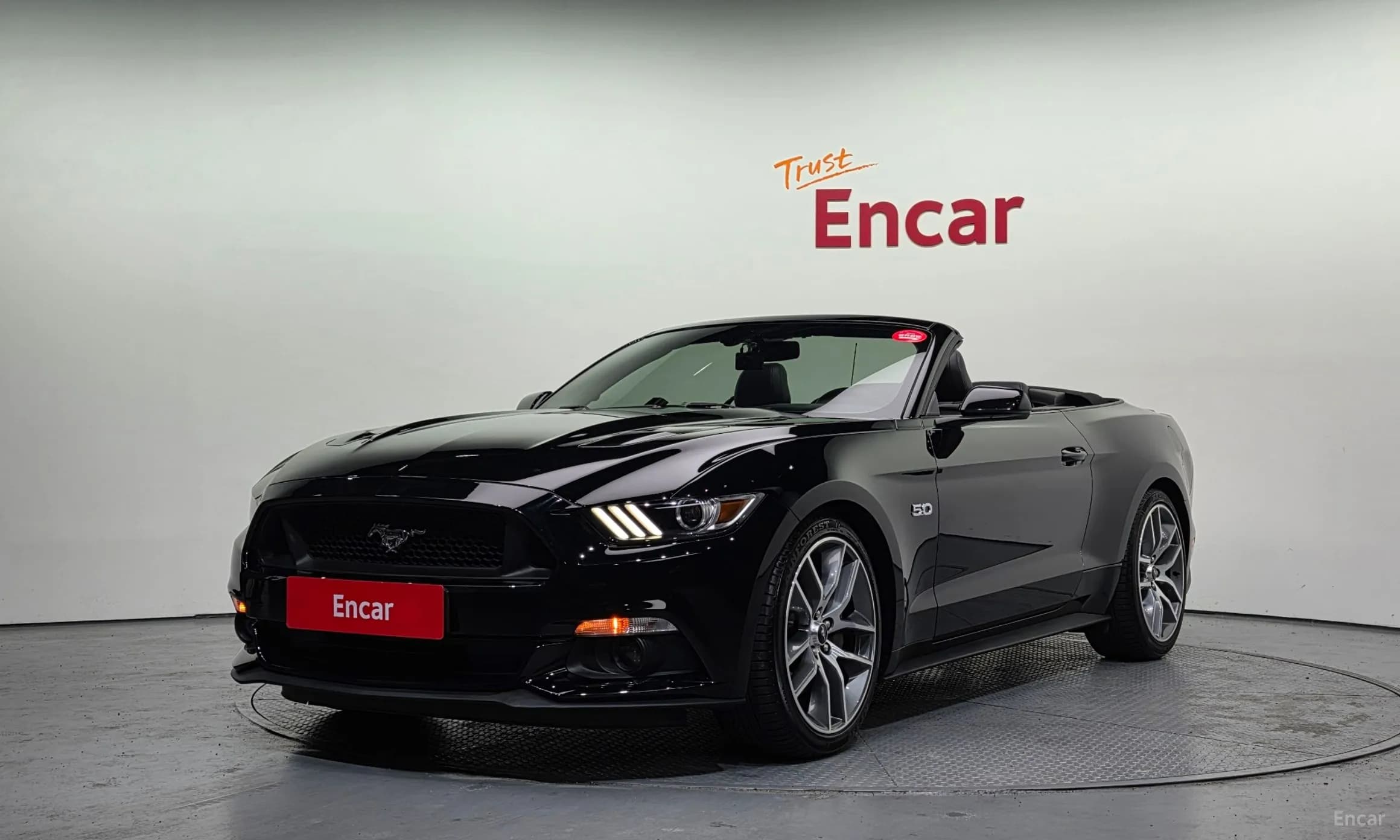 Mustang