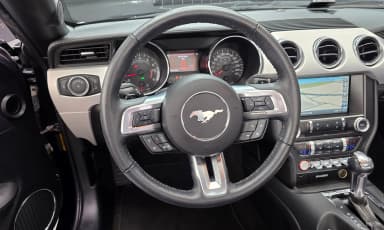 Mustang
