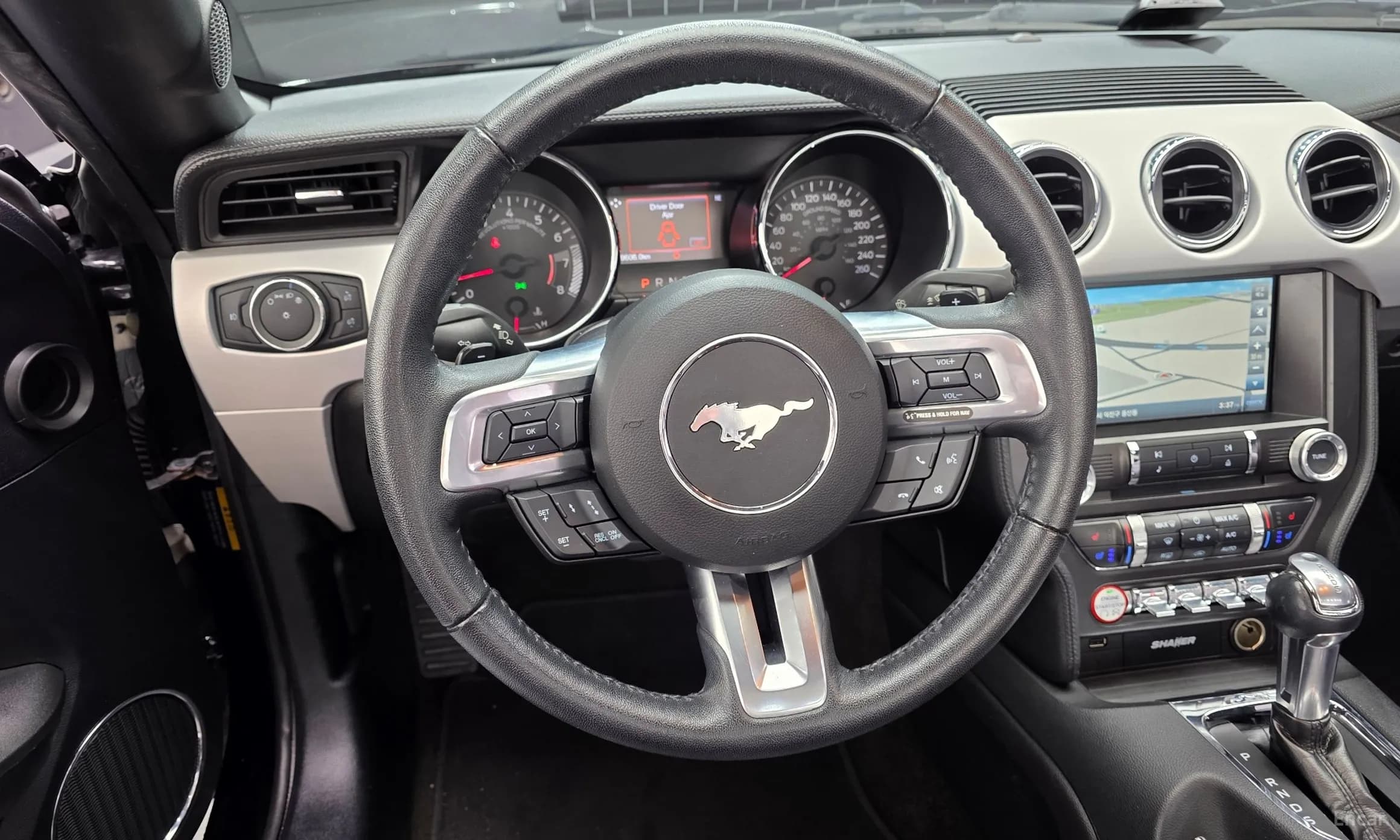 Mustang
