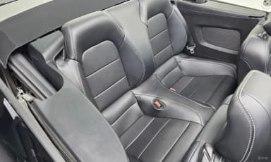 Mustang