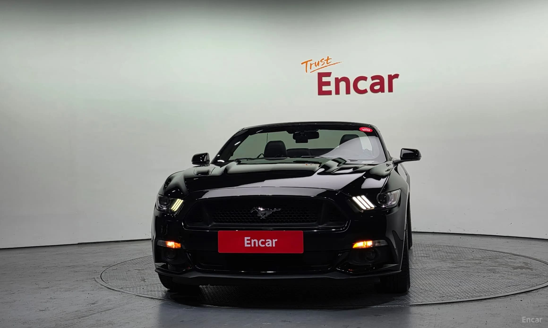 Mustang