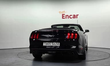 Mustang
