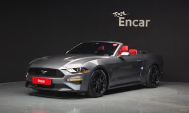 Mustang
