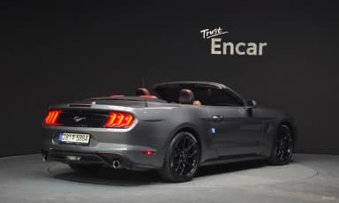 Mustang