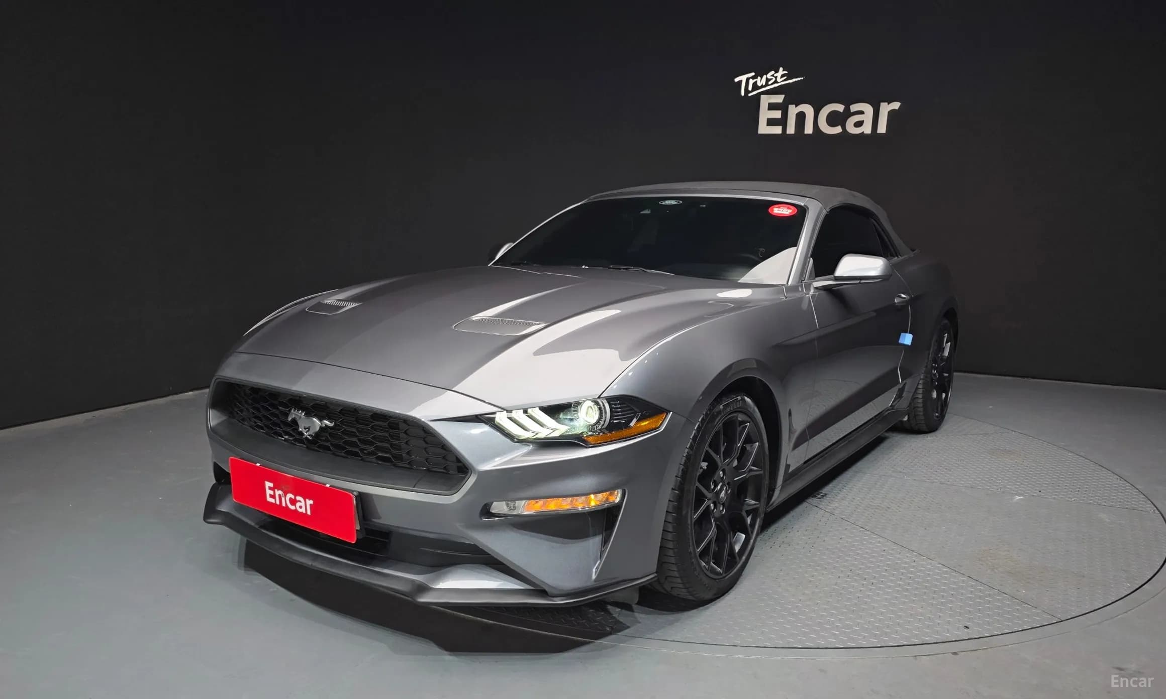Mustang