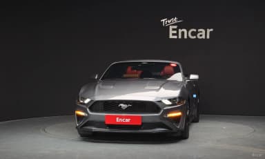 Mustang