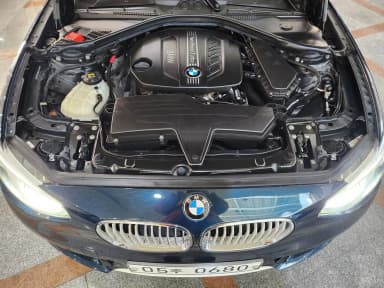 1 Series (F20)