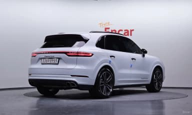 Cayenne (PO536)
