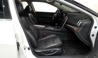 Maxima (A36)