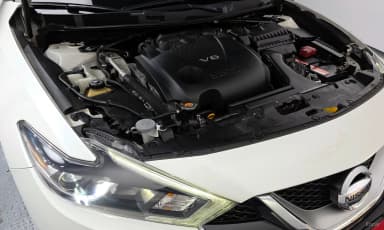 Maxima (A36)