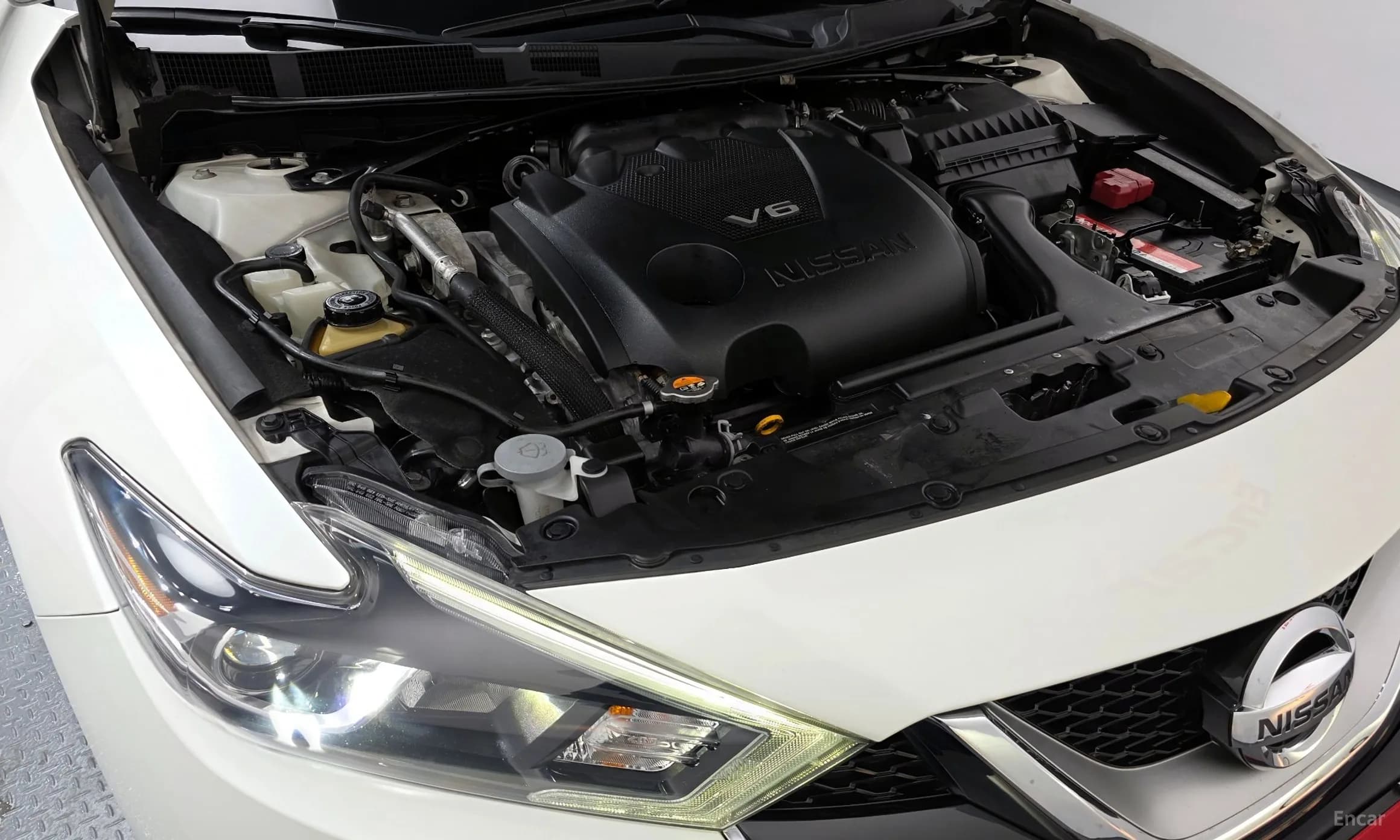 Maxima (A36)
