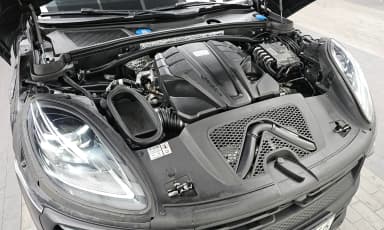 Macan