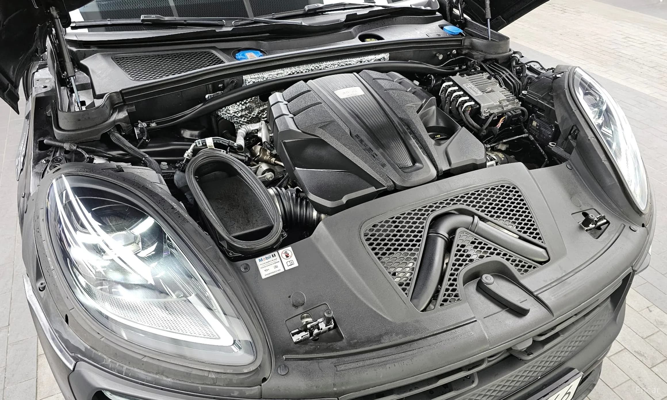 Macan