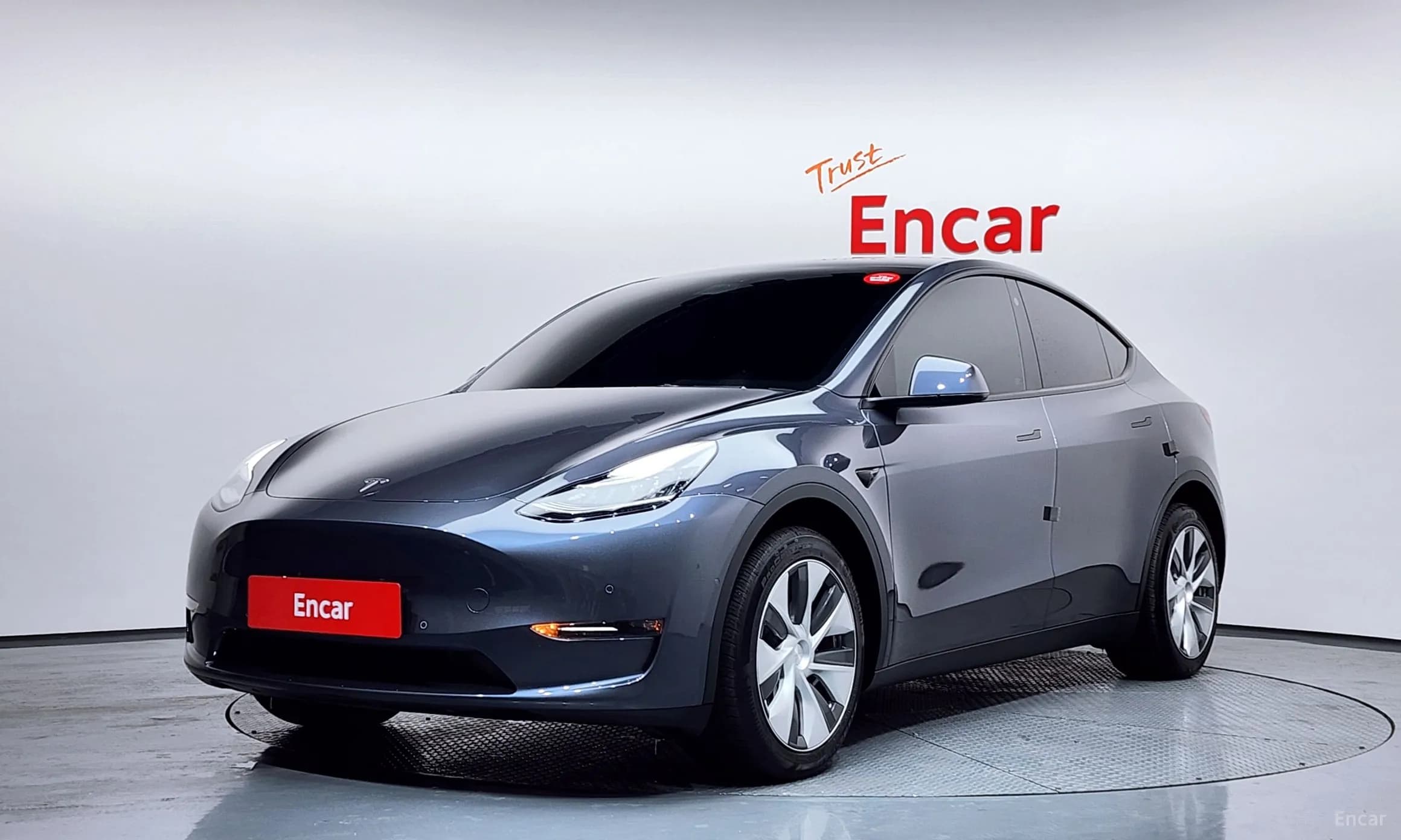 Model Y