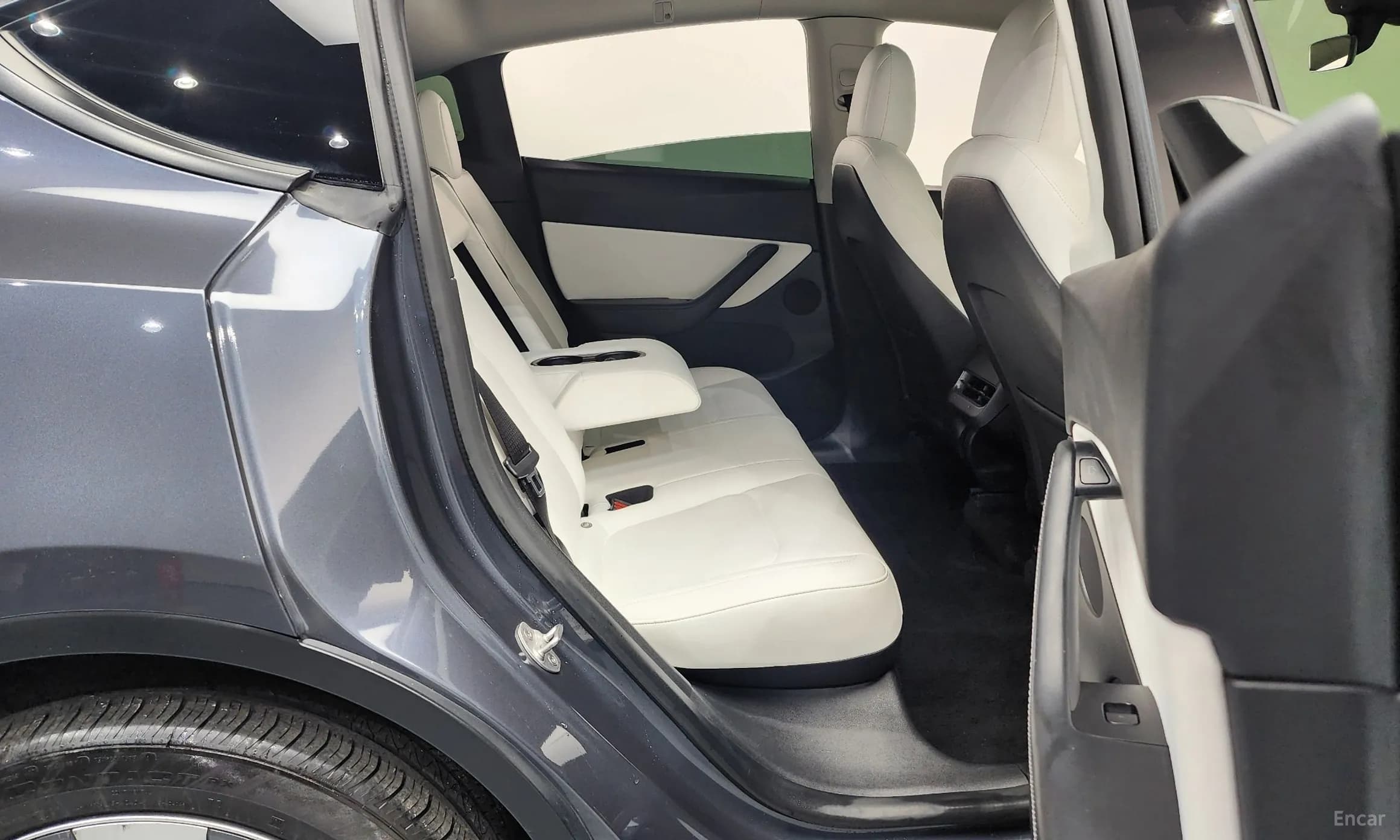 Model Y