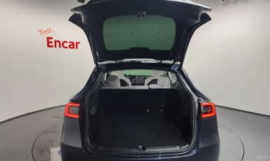 Model Y