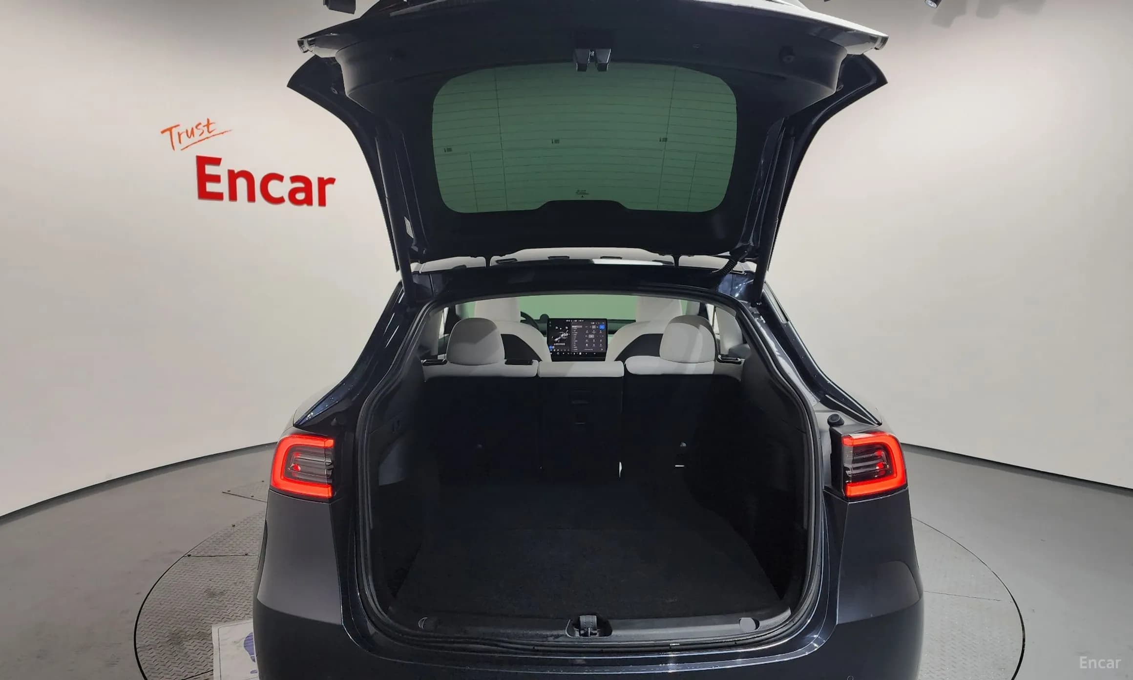 Model Y
