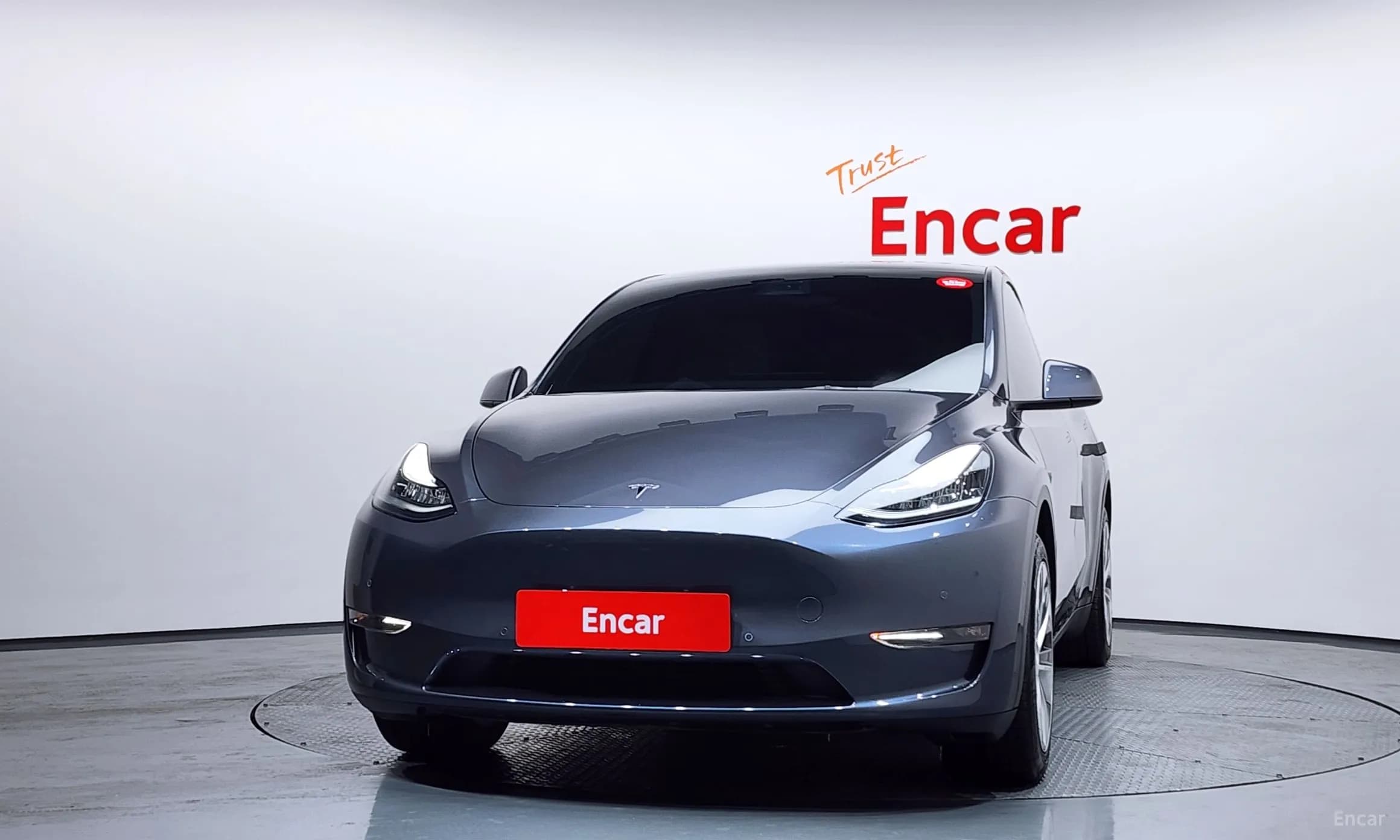 Model Y