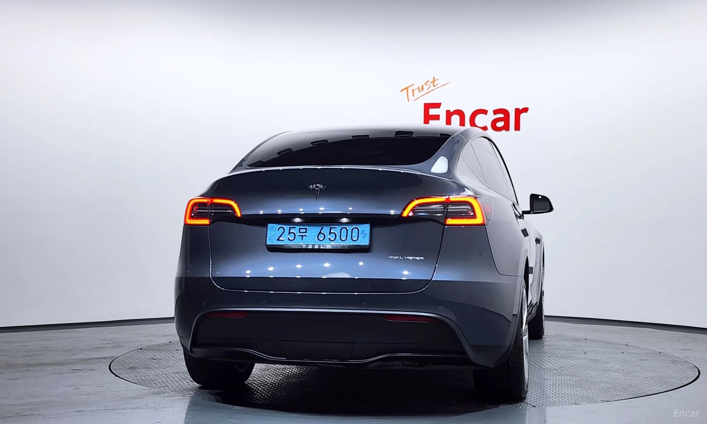 Model Y