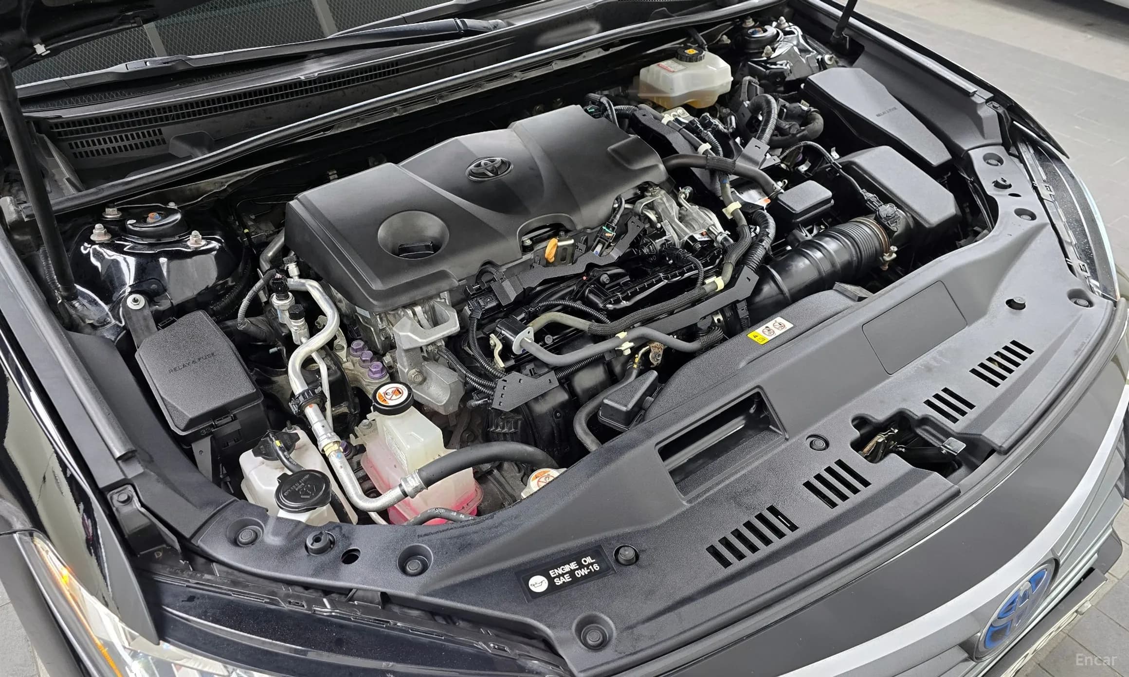 Avalon 5th Generation